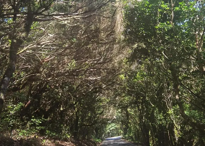 Casa Panorama Anaga Appartement Santa-Cruz de Ténérife